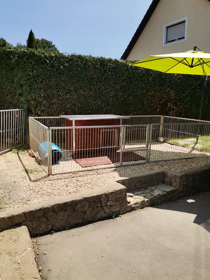 Welpenauslauf 1 Vom Alpenland